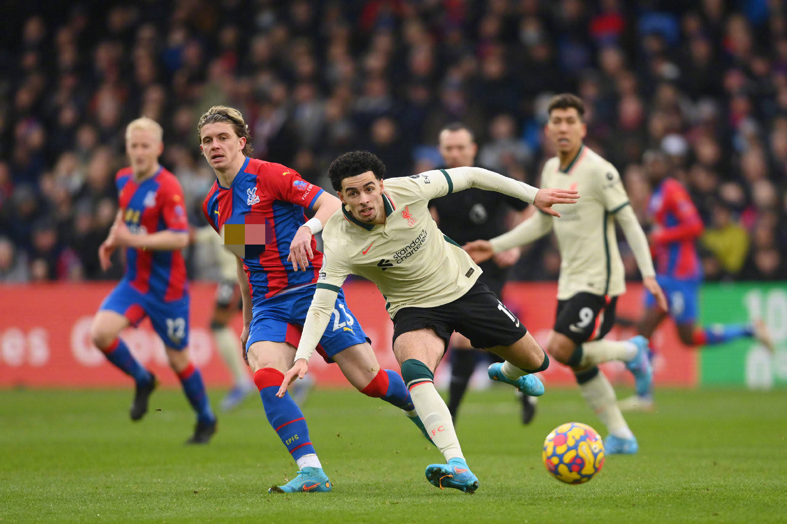 中國隊主帥 中國隊主帥